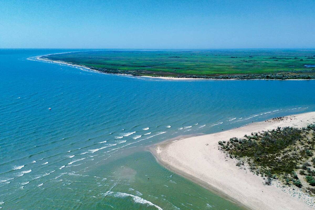 L’embouchure du Danube sur la mer Noire, avec un troupeau de bovins sur la plage de sable. L’objectif du voyage est atteint.