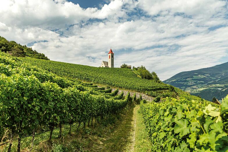 Dans la vallée, on randonne à travers des vergers et des vignobles ou l’on flâne dans les centres urbains du Tyrol du Sud.