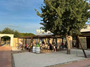 Nous avons un aperçu, au domaine viticole Cantina Coppola, de la production du vin que nous pouvons tout de suite déguster avec des délices culinaires.