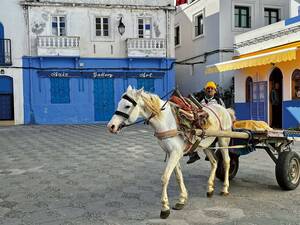 La petite ville d’Asilah – centre culturel du Maroc avec une magnifique vieille ville historique.